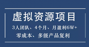 虚拟资源项目-新手、3个团队 4个月 月盈利6W+零成本、多级产品复利-牛课资源网