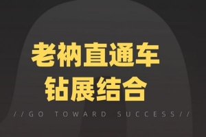 线下暴利赚钱生意，日赚800+的地摊香石生意【视频课程】-牛课资源网