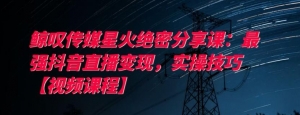 陌陌探探引男粉,当天就可变现:超级简单的引流变现秘籍,男性市场淘金者的必备宝典。-牛课资源网
