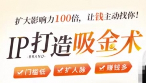 IP打造吸金术:0基础0资源,也能扩大影响力100倍,让钱主动找你!-牛课资源网