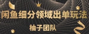 闲鱼细分领域暴力出单玩法，低成本轻松做到单号月入5000+【视频教程】-牛课资源网