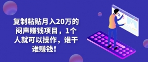 复制粘贴月入20万的闷声赚钱项目,1个人就可以操作,谁干谁赚钱!-牛课资源网