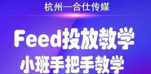 合仕传媒FEED投放教学,手把手教学,开车烧钱必须自己会!-牛课资源网