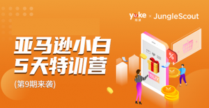 雨课·亚马逊小白特训营第9期 跨境电商挺赚钱的 有朋友已经月入几十万美金-牛课资源网