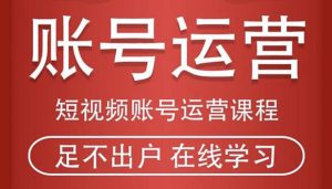 短视频账号运营课程:从话术到短视频运营再到直播带货全流程,新人快速入门-牛课资源网