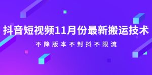 抖音短视频11月份最新搬运技术,不降版本不封抖不限流!【视频课程】-牛课资源网