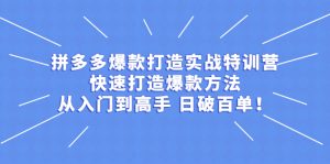 拼多多爆款打造实战特训营：快速打造爆款方法，从入门到高手 日破百单-牛课资源网