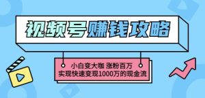 玩转微信视频号赚钱:小白变大咖涨粉百万实现快速变现1000万的现金流-牛课资源网