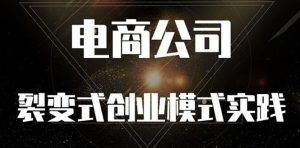 《电商公司裂变式创业模式实践》开拓更多项目 赚更多的钱-牛课资源网