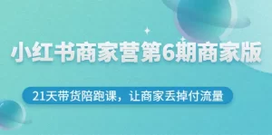 小红书商家营第6期商家版,21天带货陪跑课,让商家丢掉付流量-牛课资源网