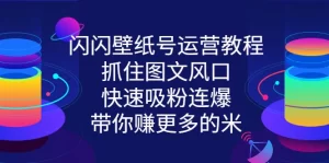 闪闪壁纸号运营教程,抓住图文风口,快速吸粉连爆,带你赚更多的米,牛课资源网最新副业创业项目视频教程-牛课资源网