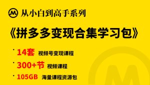 【小白到高手系列】拼多多变现合集学习包-牛课资源网