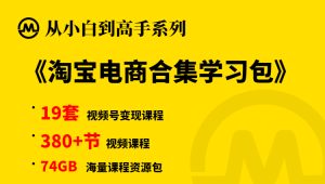 【小白到高手系列专项课程】淘宝开店变现合集学习包,19套视频课程,380+节74GB资源,小白到高手系列专项课程9-牛课资源网