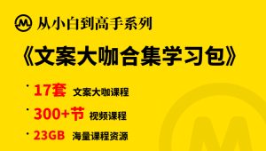 【小白到高手系列】文案大咖合集学习包-牛课资源网