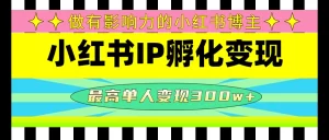 某收费培训-小红书IP孵化变现：做有影响力的小红书博主，最高单人变现300w+，牛课资源网最新副业创业项目视频教程-牛课资源网