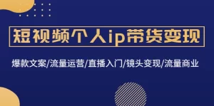 短视频个人ip带货变现:爆款文案/流量运营/直播入门/镜头变现/流量商业,牛课资源网最新副业创业项目视频教程-牛课资源网