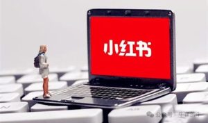 小红书引流秘籍:解锁流量密码,小白变百万大咖,精通小红书SEO技巧-牛课资源网