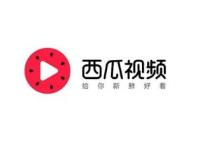 西瓜视频搞笑领域，无脑操作新手小白月入6K攻略-牛课资源网
