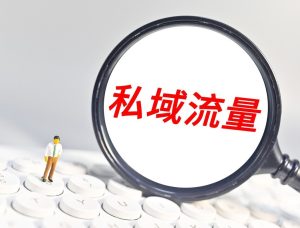 私域变现加速器:解锁业绩增长密码,可复制私域系统课程助你快速成功!-牛课资源网