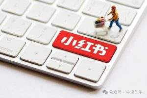 揭秘小红书暴力音乐号:无脑流量操作,单号月入5000+变现秘籍!-牛课资源网
