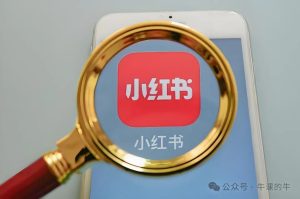 28天小红书博主IP速成班(第3期):实战涨粉攻略,速通变现之道-牛课资源网