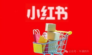 小红书PPT模板变现攻略:轻松上手,日入400+不是梦(附教程+226G素材),豪赠5000+电子书资源-牛课资源网