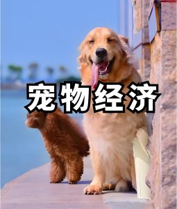 2025养宠赛道新红利！AI数字人+DeepSeek全自动剪辑，防封号混剪技术揭秘，日发30条躺赚5张-牛课资源网