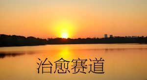 【2025最新】治愈系短视频日引500+流量,新手当天变现月入过万教程-牛课资源网