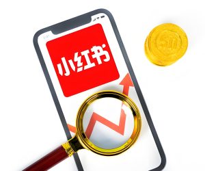 2025小红书野路子!AI全自动日引300粉,零封号曝光技术,小白当天变现1500+【附工具】-牛课资源网
