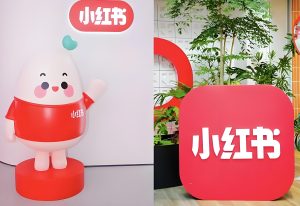 2025小红书野路子!英语视频日发100条,AI扣子零成本搬运,日赚1200+保姆级教程【附工具】-牛课资源网