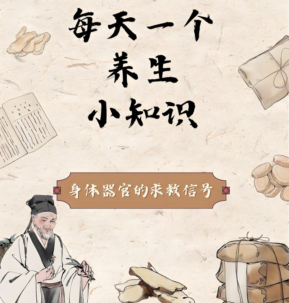 图片[2]-零基础中医养生视频教程：AI一键生成3D特效，新手当天变现攻略，牛课资源网搜集