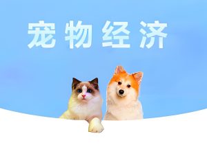 2025宠物经济暴利变现指南:零基础短视频带货实操全解析-牛课资源网