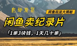 2025蓝海副业：闲鱼倒卖纪录片1天赚200，矩阵操作月入过万，附违规避坑指南-牛课资源网