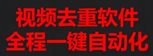 2025搬运党必备:手机端九重去重黑科技,零成本月入5位数野路子实测-牛课资源网