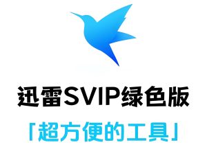 2025最轻量下载器：迅雷12定制版避坑指南（去广告+任务优化）-牛课资源网