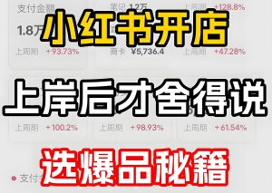 <strong>单品带货流量密码:1篇笔记爆卖5万单,小红书算法推流机制全解析</strong>-牛课资源网