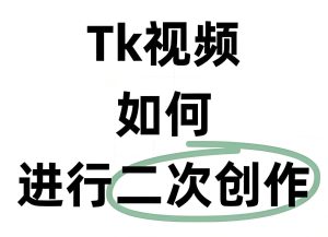 TikTok影视二创:2025年跨境变现新机遇 - 注册、发布与盈利全攻略-牛课资源网