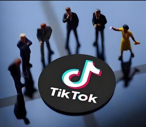 如何用搬运二创玩转TK中视频?零基础7天开通教程+AI去重避坑指南-牛课资源网