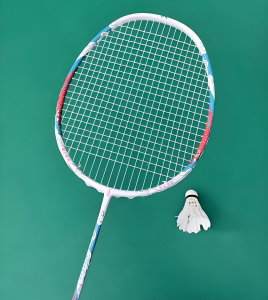 2025暴利副业！球拍赛道躺赚攻略：单票30-50元，小白日入500+实录-牛课资源网