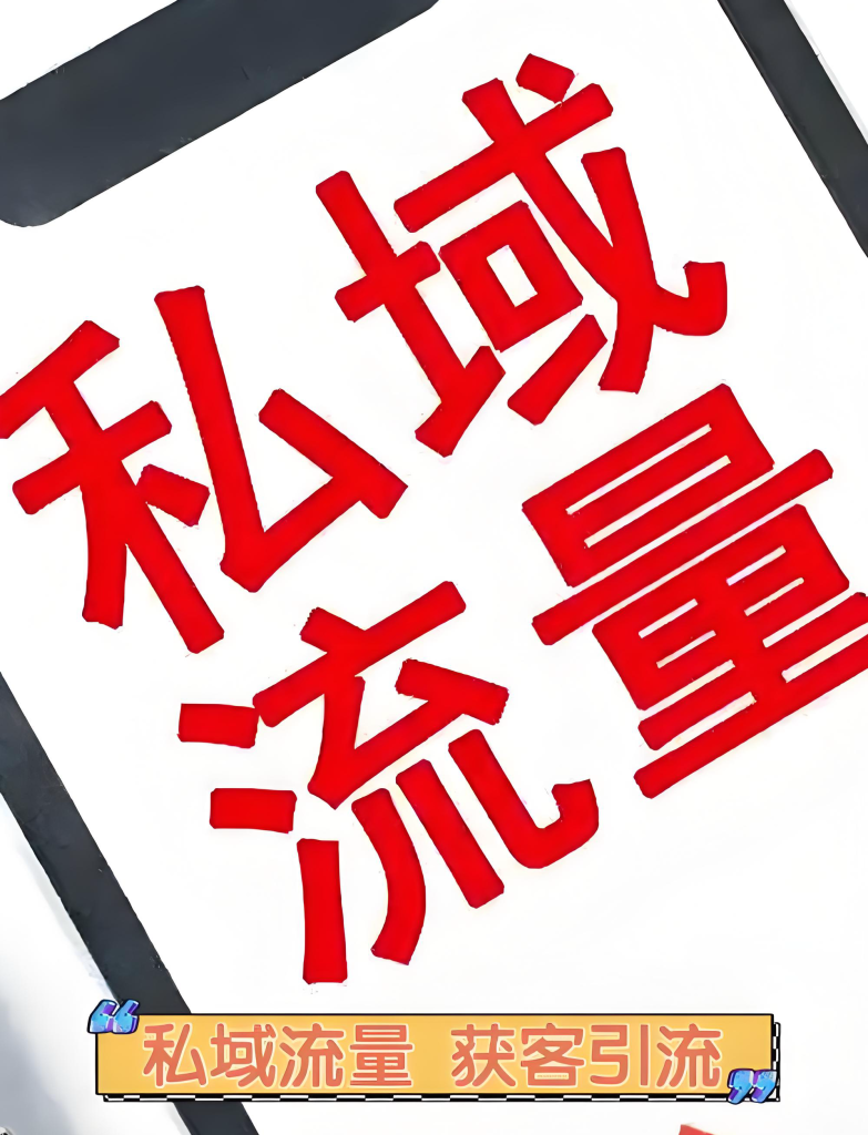 图片[2]-一人起盘赚钱实战指南（2025版）：私域流量、直播电商与实体获客的36种思路与底层逻辑，牛课资源网搜集​