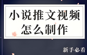 2025暴利副业！小说推文解压视频躺赚攻略：小白3天日更3条，单号月入过万实录-牛课资源网