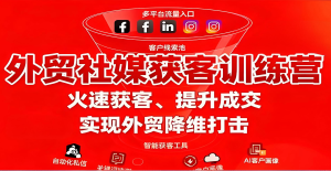 2025外贸社媒暴利玩法！新手7天躺赚攻略，AI工具助你日获30+精准询盘​-牛课资源网