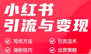 2025小红书引流暴利玩法！图文矩阵躺赚攻略，新手7天速通，日引500+精准粉-牛课资源网