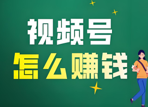 2025视频号暴利玩法!新手躺赚攻略,7天快速起号,日引千粉,稳定变现-牛课资源网