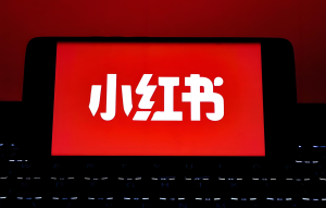 2025小红书暴利玩法！120天训练营速成攻略，新手单号月涨粉5万，变现破3万-牛课资源网