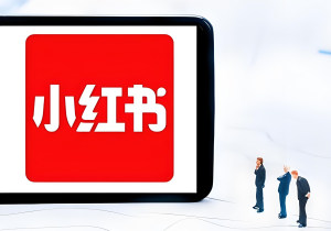 2026小红书英语拍书暴利玩法！新手日引300粉攻略，单号月入过万，附150G资料包-牛课资源网